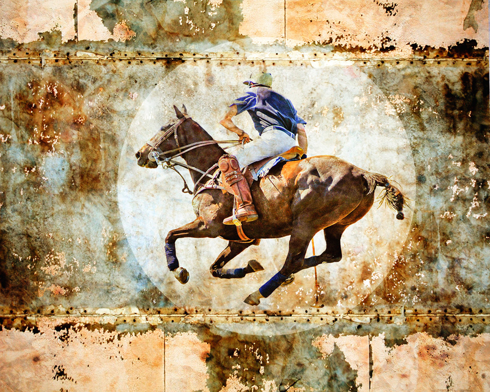 Polo chase by Judy Wood