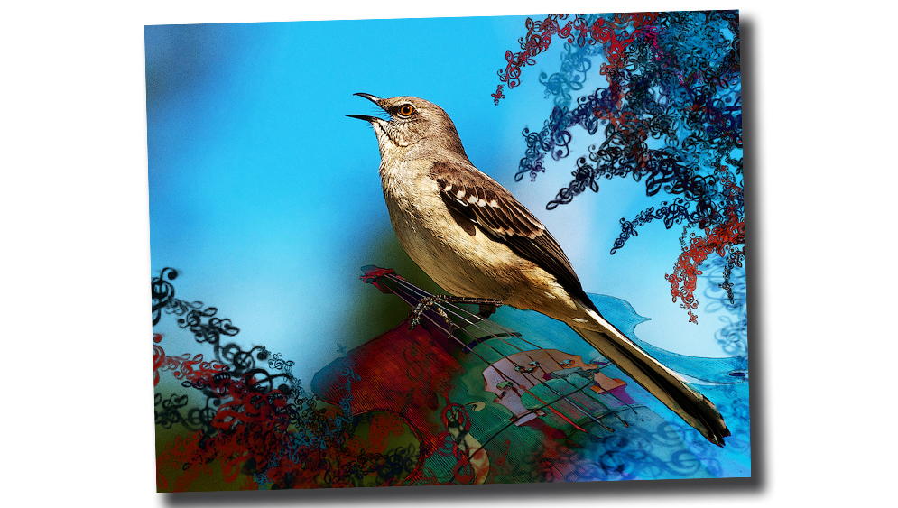 Mockingbird Lullaby by Nina Henry