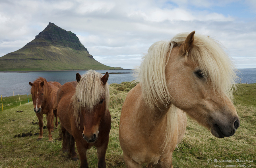 Branimir Gjetvaj: Iceland – a Photographer’s Dream