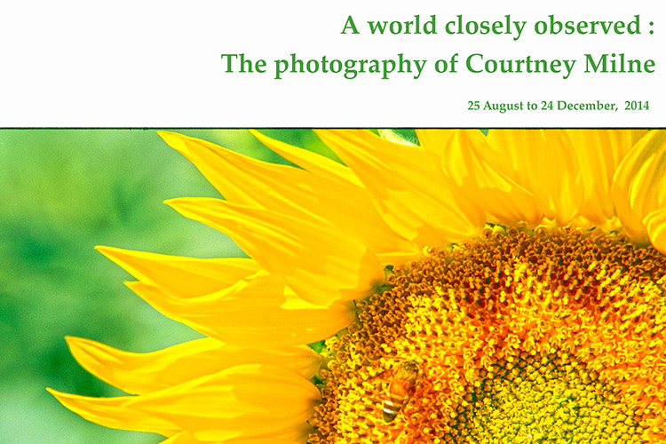 Exhibition: The Photography of Courtney Milne